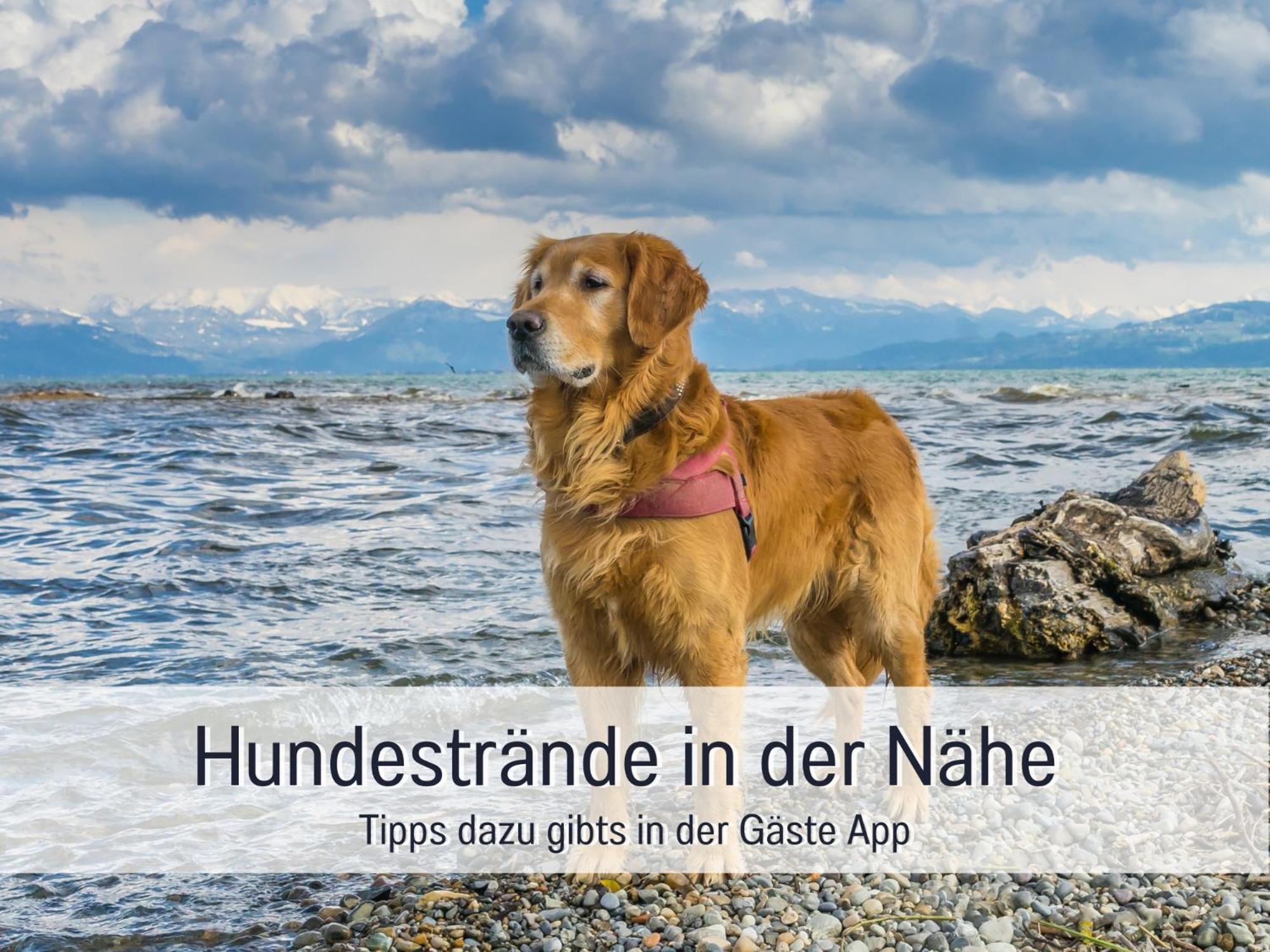 Sonnenterrasse - 3 Schlafzimmer, Whirlpool & Alpenblick - Perfekt Fuer Romantik Oder Familienurlaub Mit Kind , Hund Willkommen By Ferienwohnenamsee - อูเบอร์ลิงเงน ภายนอก รูปภาพ