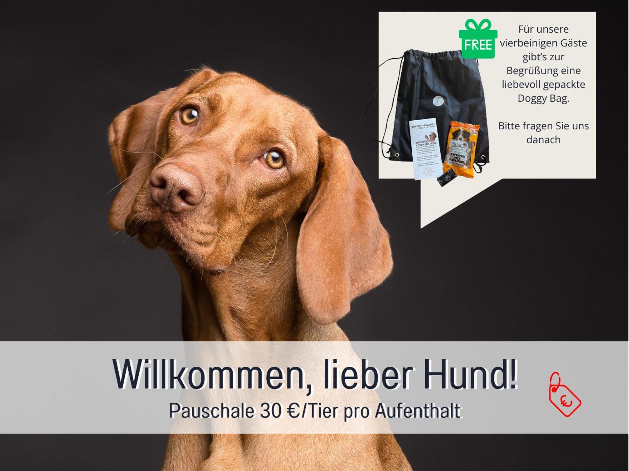 Sonnenterrasse - 3 Schlafzimmer, Whirlpool & Alpenblick - Perfekt Fuer Romantik Oder Familienurlaub Mit Kind , Hund Willkommen By Ferienwohnenamsee - อูเบอร์ลิงเงน ภายนอก รูปภาพ